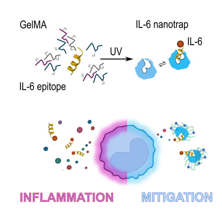 graphical abstract da schema2